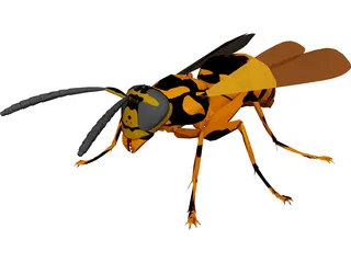 Wasp 3D Model preview