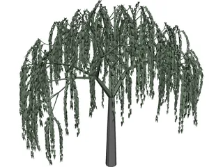 Willow Tree 3D Model preview
