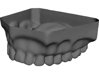 Teeth Upper Surface 3D Model preview