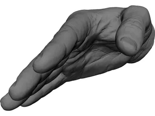 Right Hand Male 3D Model preview