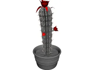 Castus 3D Model preview
