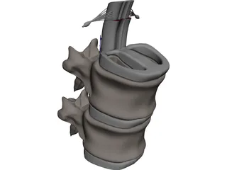 Vertebra 3D Model preview
