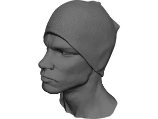 Head for Printing Decimated 3D Model preview
