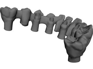 Reduced Mandibula Arcade 3D Model preview