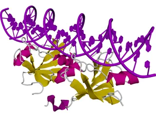 DNA 3D Structure 3D Model preview