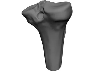 Human Knee 3D Model preview
