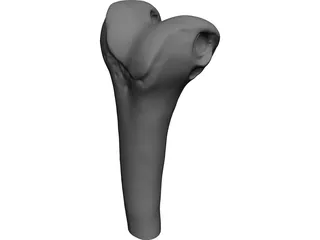 Human Knee 3D Model preview