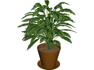Spathiphyllum 3D Model preview