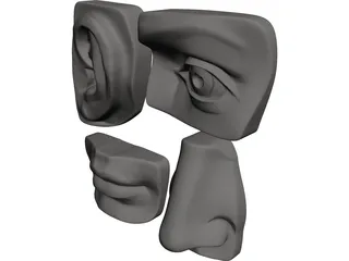 Michelangelo 3D Model preview