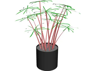 Cyperus Alternifolius 3D Model preview