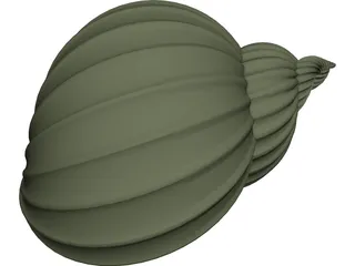 Shell Sea 3D Model preview