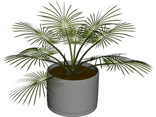 House Plant 3D Model preview