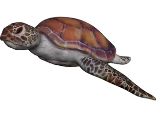 Turtle 3D Model preview
