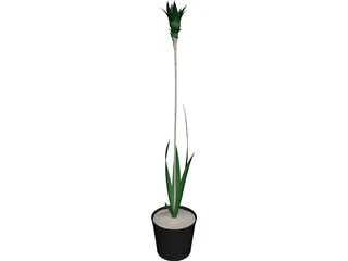 Potted Plant 3D Model preview