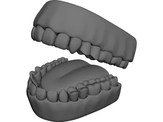 Teeth 3D Model preview