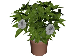 Potted Plant 3D Model preview