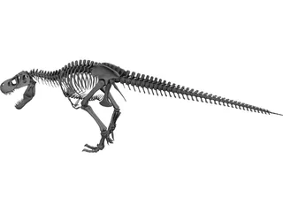 T-Rex Skeleton 3D Model preview