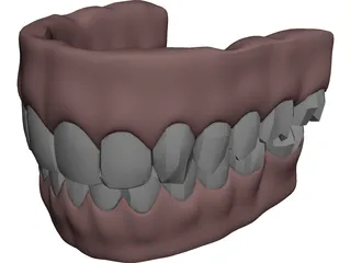 Gums Teeth Tongue 3D Model preview