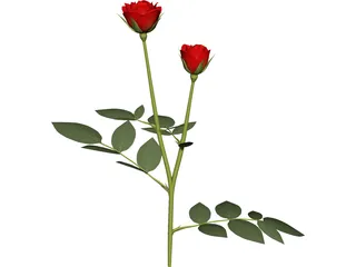 Red Rose 3D Model preview
