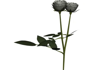 White Rose 3D Model preview