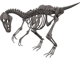 Dinosaur Skeleton 3D Model preview