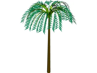 Tree Palm Tropical 3D Model preview