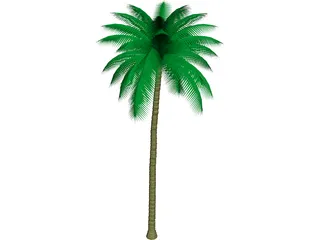 Palm Tree 3D Model preview
