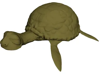Cartoon Turtle 3D Model preview