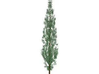 Pine Tree 3D Model preview