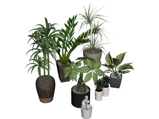 House Plant Collection 3D Model preview