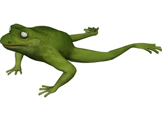 Frog 3D Model preview