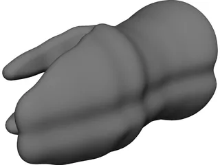 Molar Teeth 3D Model preview