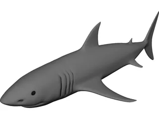 Shark White 3D Model preview