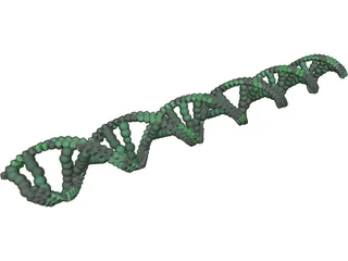 DNA 3D Model preview