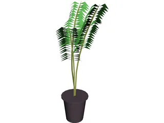 Potted Fern 3D Model preview