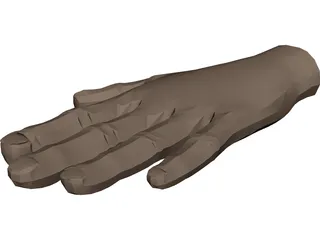 Hand 3D Model preview