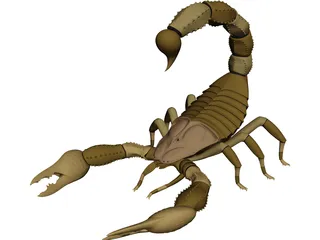 Scorpion - Buthidae Family - Hottentotta Species 3D Model preview