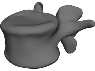 Vertebral Body 3D Model preview