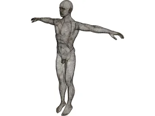 Man 3D Model preview