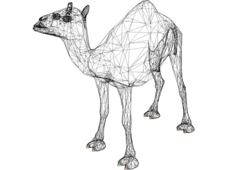 Dromedary 3D Model preview