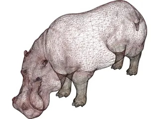 Hippopotamus 3D Model preview