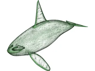 Whale Killer Male 3D Model preview