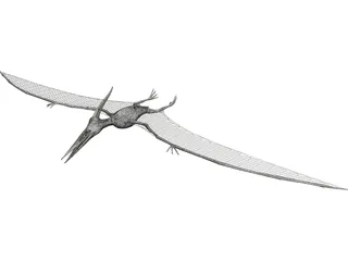 Pteranodon Ingens 3D Model preview
