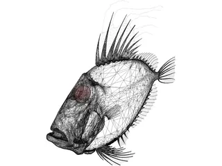 San Peters Fish 3D Model preview