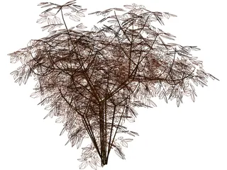 Cherry Tree 3D Model preview