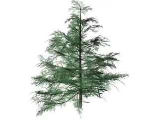 False Golden Larch 3D Model preview