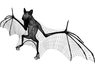 Bat 3D Model preview