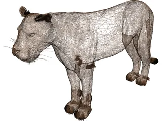 Lioness 3D Model preview