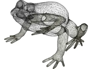 Frog 3D Model preview
