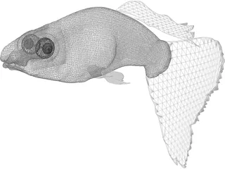 Guppy 3D Model preview